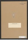 Surirella patella Kuetz. (de-Toni-Nr.: Genus 53, Species 2262) Zeichnungen Sammlung Grunow Nr. 4689 (NHMW-BOT-W0372768)